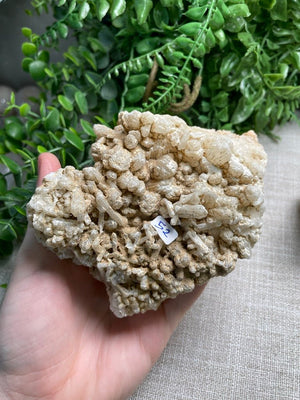 Apophyllite Cluster by Copper Ashes
