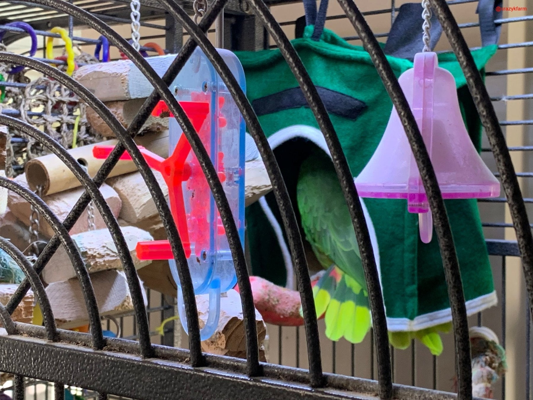 Avian Haven Hut for Pet Birds by Crazy K Farm, product photo 7 of 13