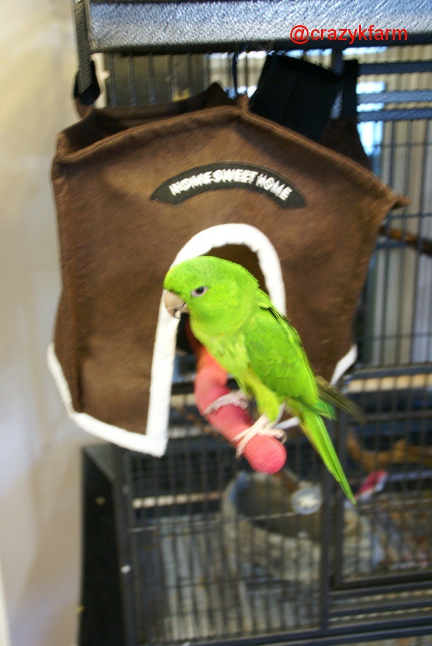 Avian Haven Hut for Pet Birds by Crazy K Farm, product photo 6 of 13