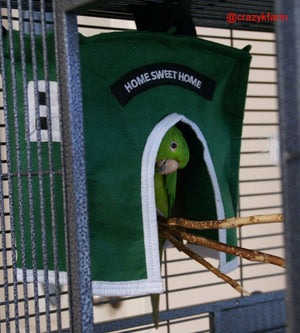 Avian Haven Hut for Pet Birds by Crazy K Farm, product photo 2 of 13
