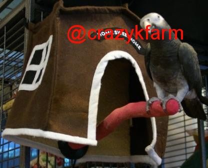 Avian Haven Hut for Pet Birds by Crazy K Farm, product photo 3 of 13