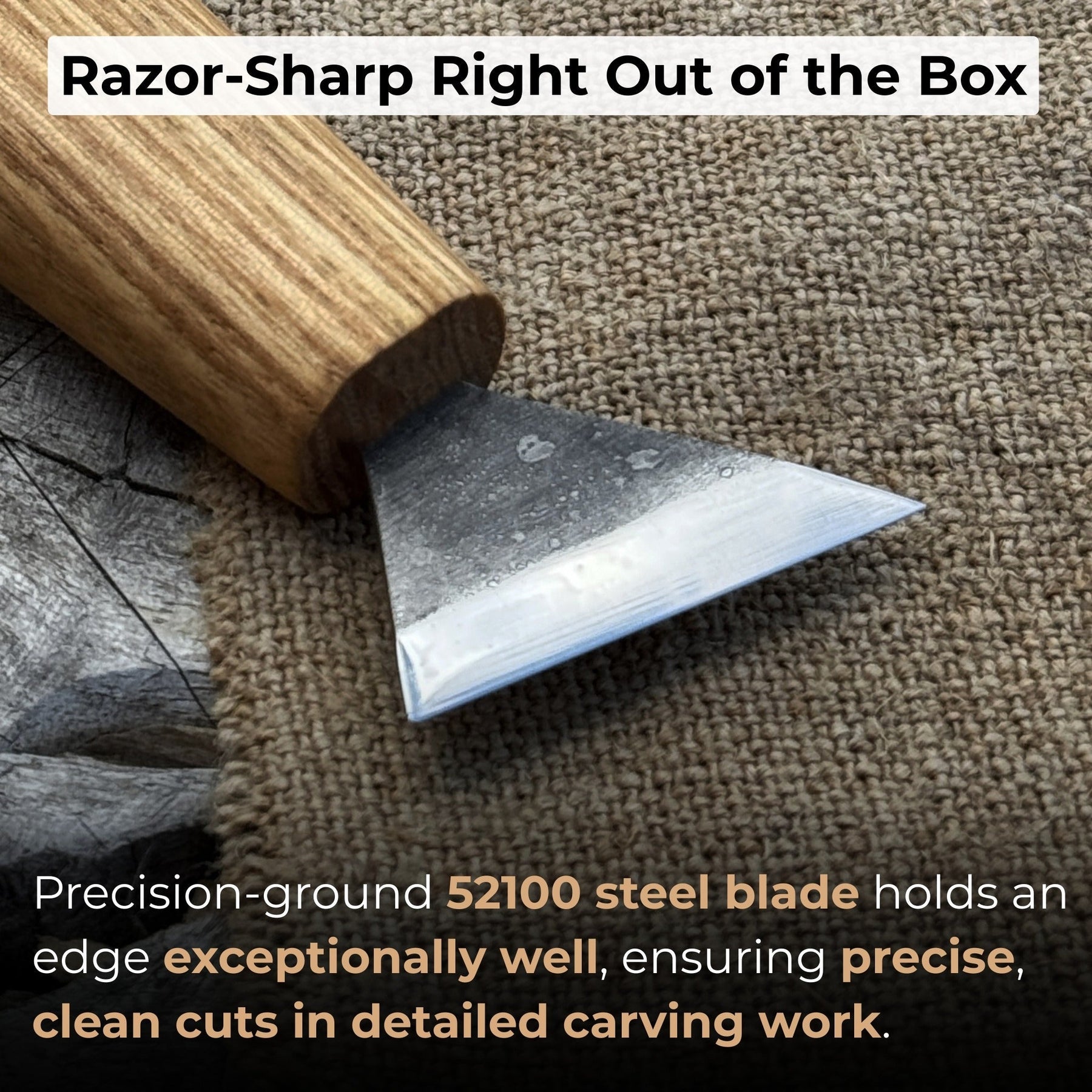 Bevel Edge Carving Knife, 3.5 cm (1.38 inches) detail view by Sharky Forged Steel Tools