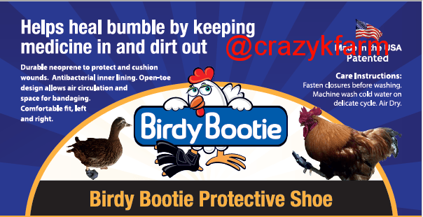 Birdy Bootie Poultry Shoes by Crazy K Farm, product photo 3 of 116