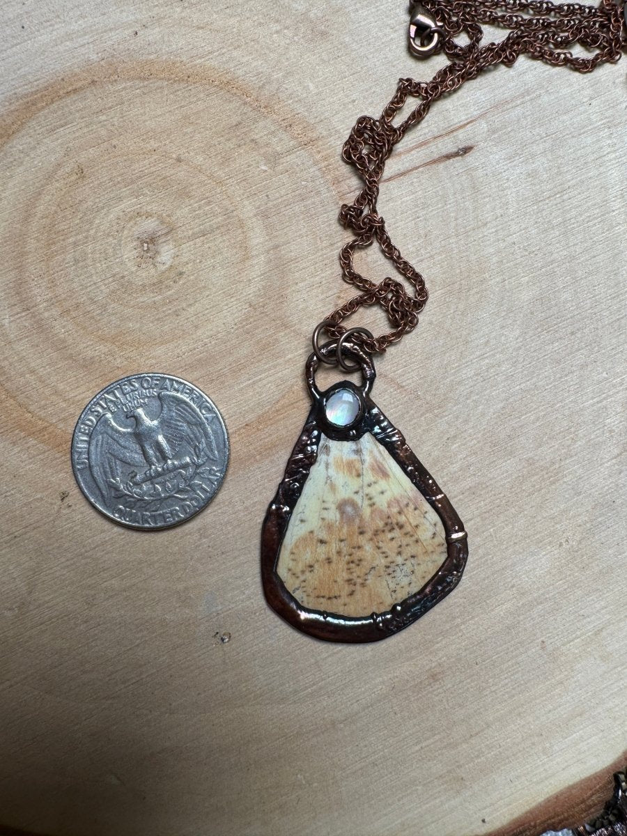 Butterfly Wing and Mother of Pearl Shell Necklace detail view by Copper Ashes