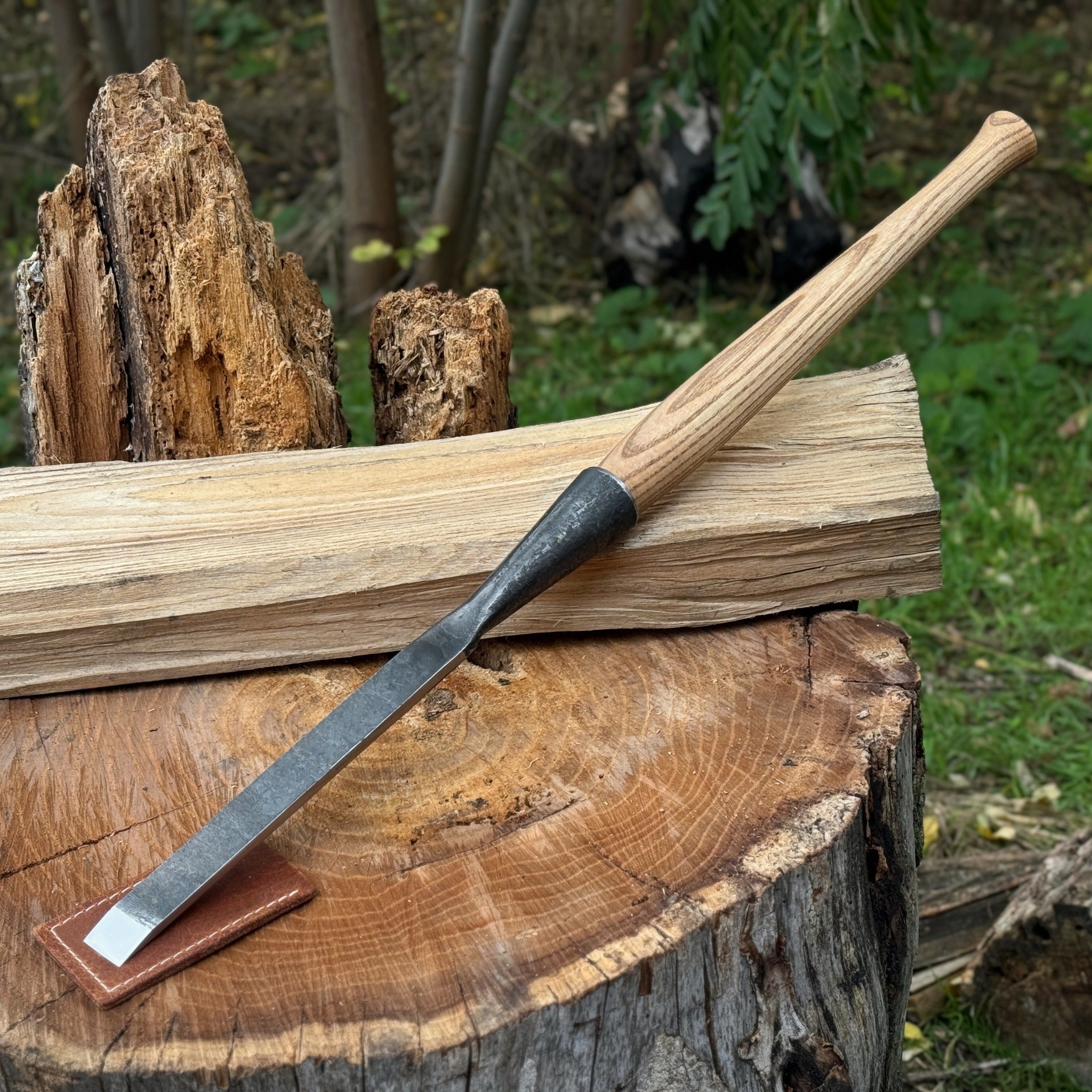 Carpenters Slick Chisel, 20 - 100 mm (0.8 - 3.9 inches) by Sharky Forged Steel Tools