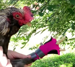 Birdy Bootie Poultry Shoes by Crazy K Farm, product photo 106 of 116