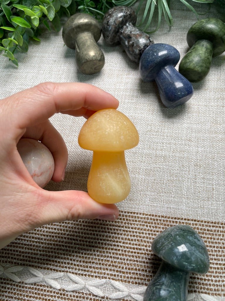 Crystal Mushroom detail view by Copper Ashes