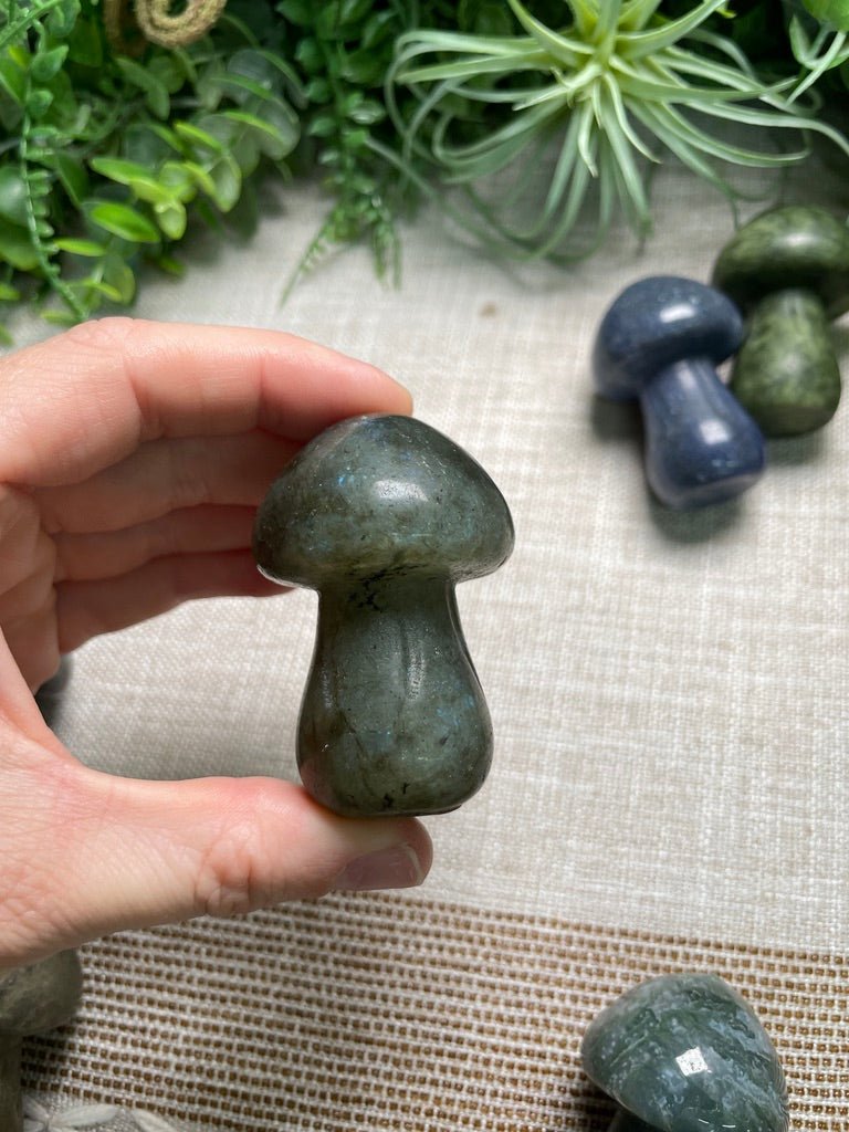 Crystal Mushroom detail view by Copper Ashes