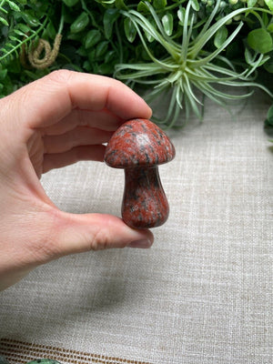 Crystal Mushroom by Copper Ashes