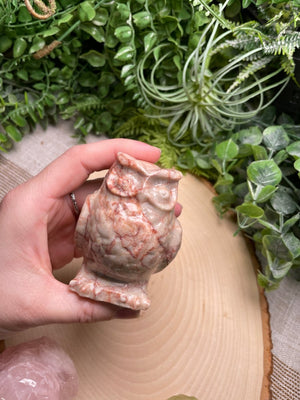 Crystal Owl detail view by Copper Ashes