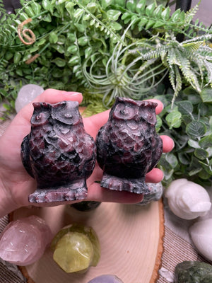 Crystal Owl detail view by Copper Ashes