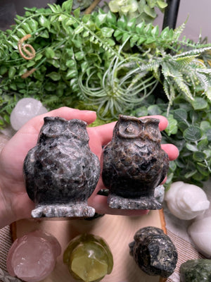 Crystal Owl detail view by Copper Ashes