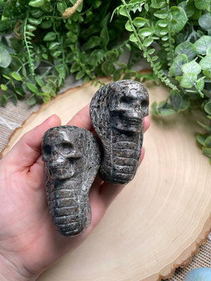 Crystal Skull Snake detail view by Copper Ashes