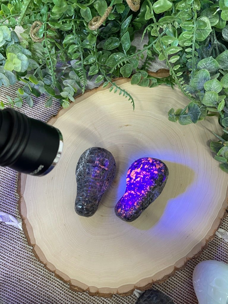Crystal Skull Snake detail view by Copper Ashes