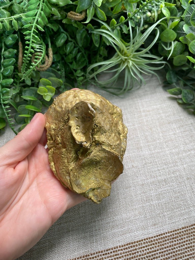 Decoupage Shell detail view by Copper Ashes