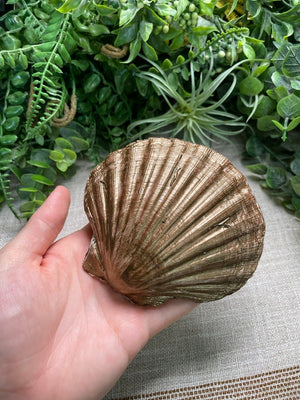 Decoupage Shell detail view by Copper Ashes