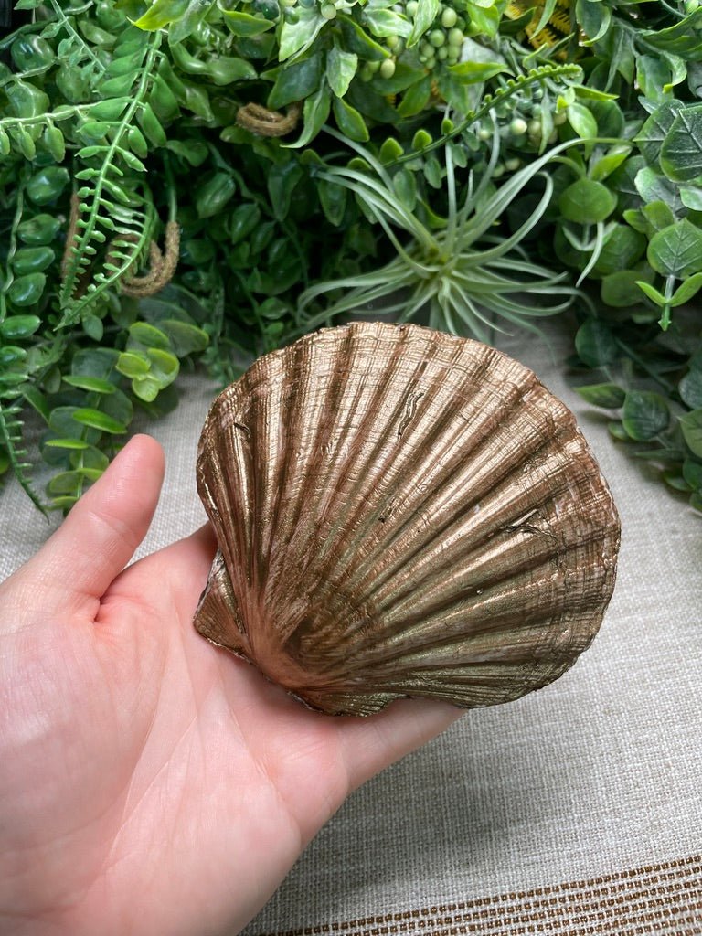 Decoupage Shell detail view by Copper Ashes