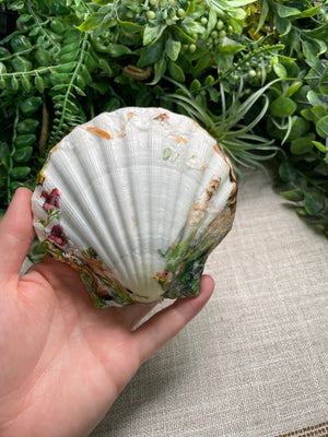 Decoupage Shell detail view by Copper Ashes