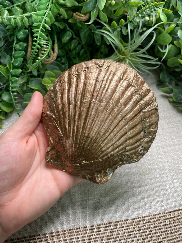 Decoupage Shell detail view by Copper Ashes