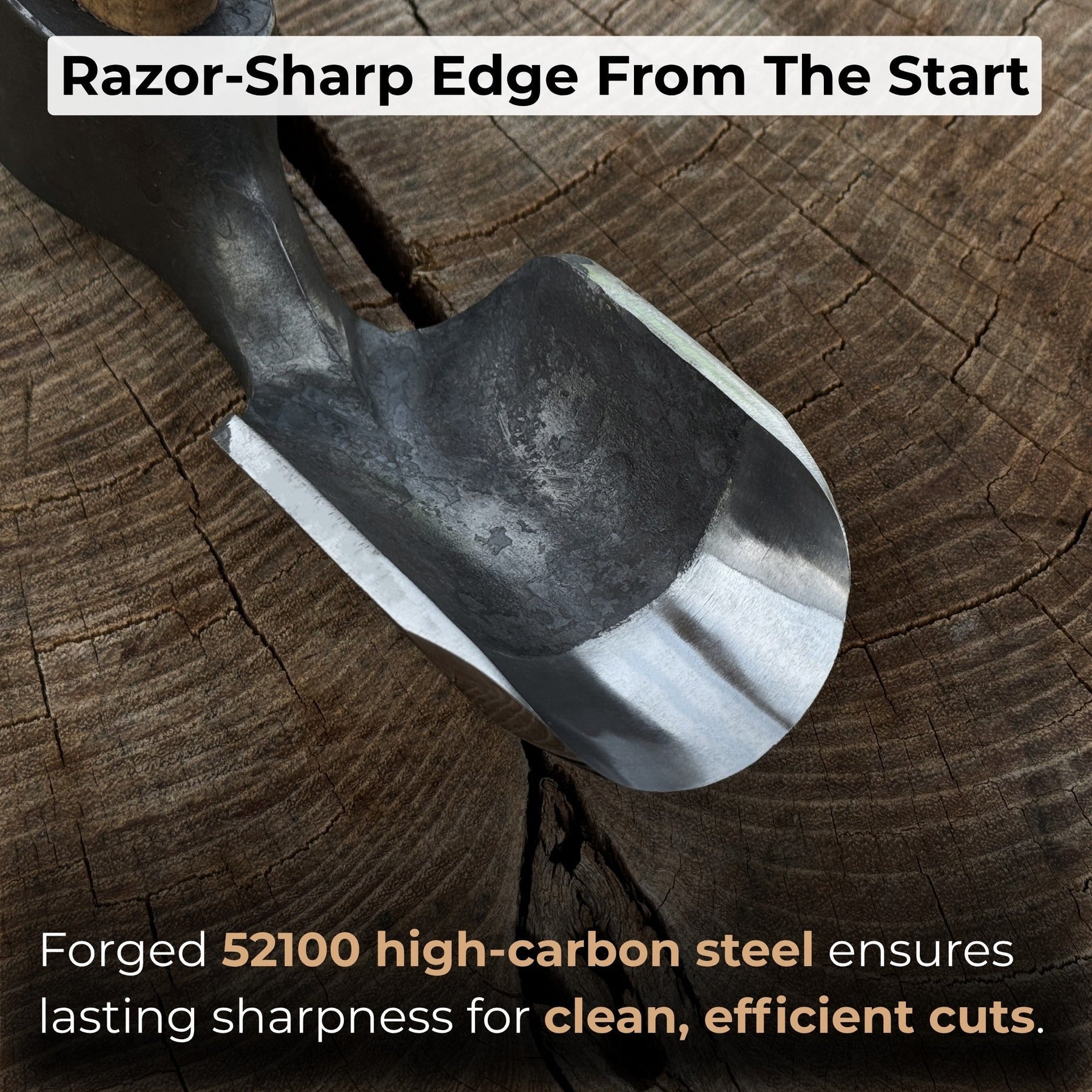 Deep Curved Bowl Adze, 5 cm (1.97 inches) detail view by Sharky Forged Steel Tools