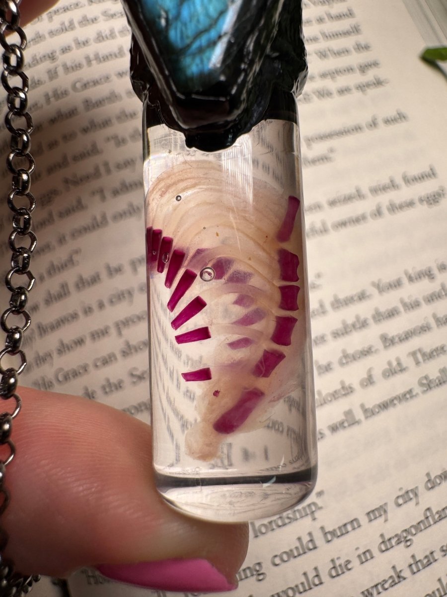 Diaphonized Rat Ribcage and Labradorite Coffin Oddity Necklace detail view by Copper Ashes