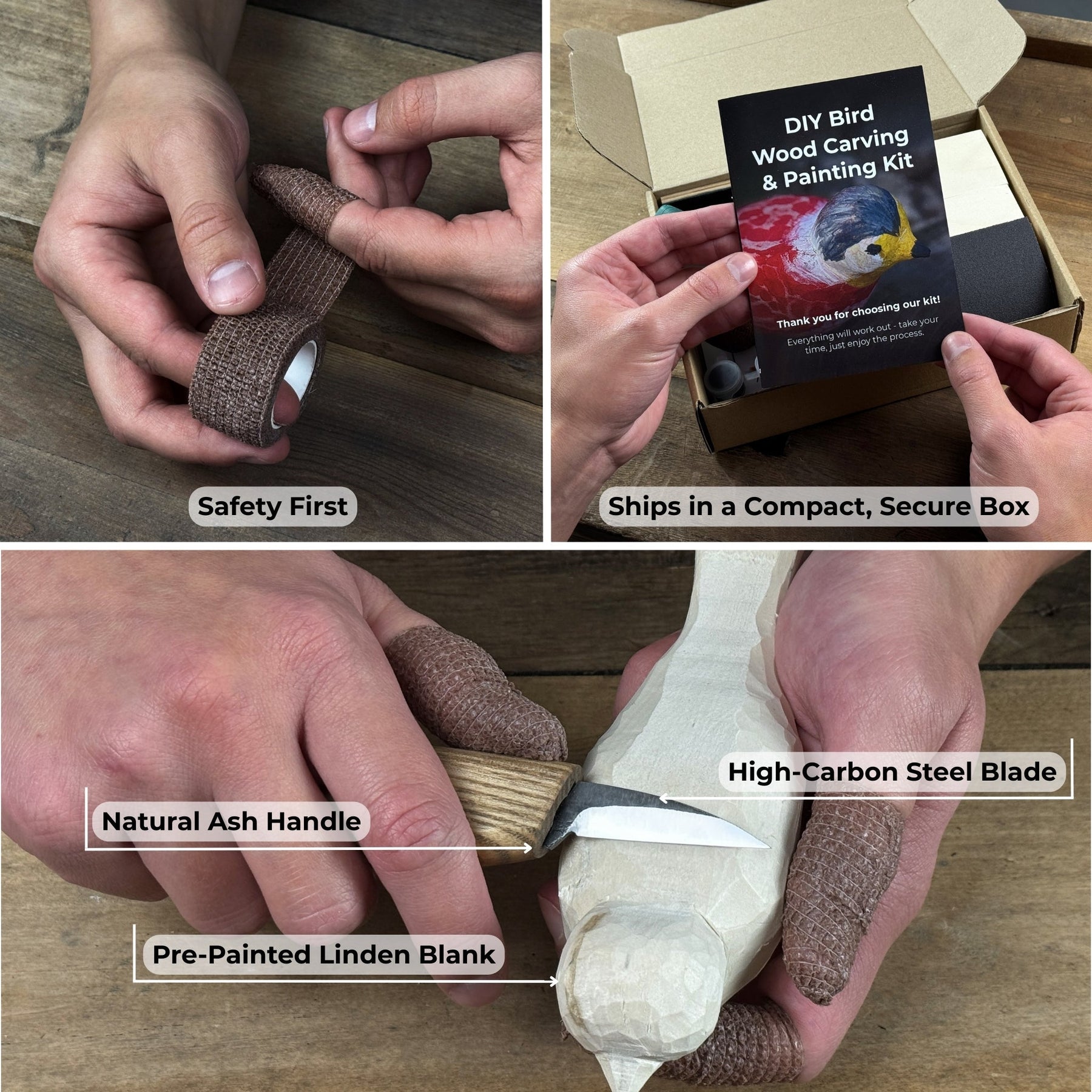 DIY Bird Wood Carving & Painting Kit detail view by Sharky Forged Steel Tools