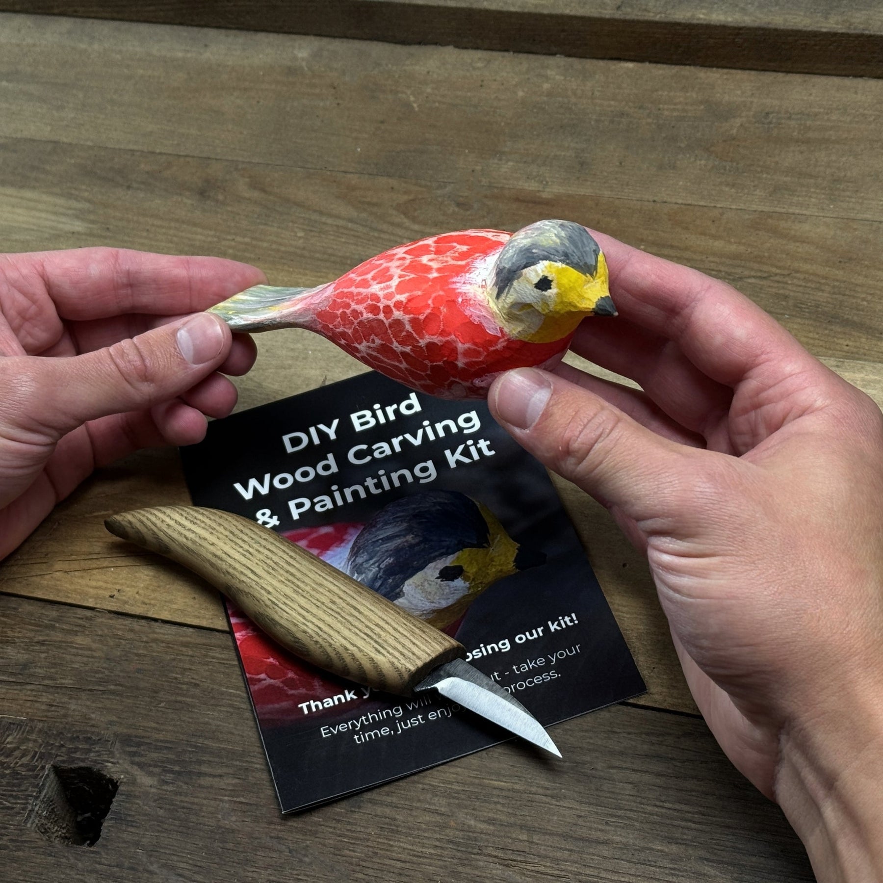 DIY Bird Wood Carving & Painting Kit detail view by Sharky Forged Steel Tools