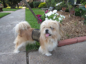 Doggy Holster Small Dog Harness by Crazy K Farm, product photo 2 of 14