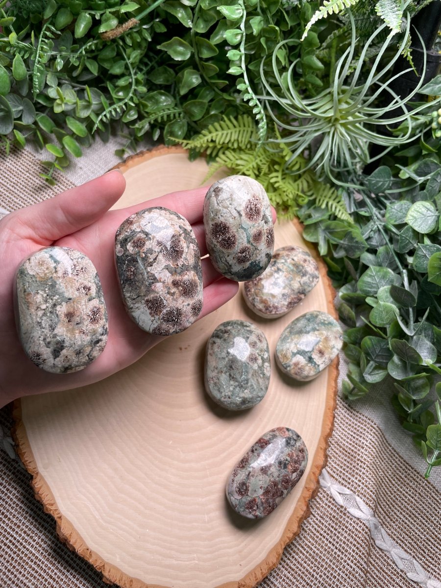 Flower Jasper Palm Stone by Copper Ashes