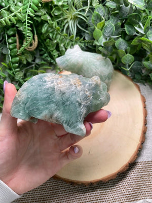 Fluorite Bear detail view by Copper Ashes