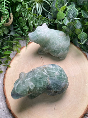 Fluorite Bear detail view by Copper Ashes