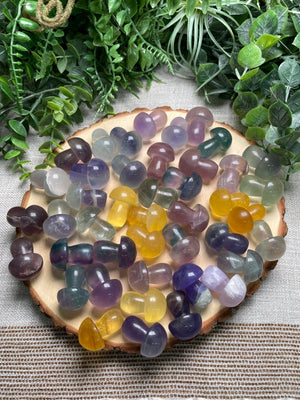 Fluorite Mushroom detail view by Copper Ashes