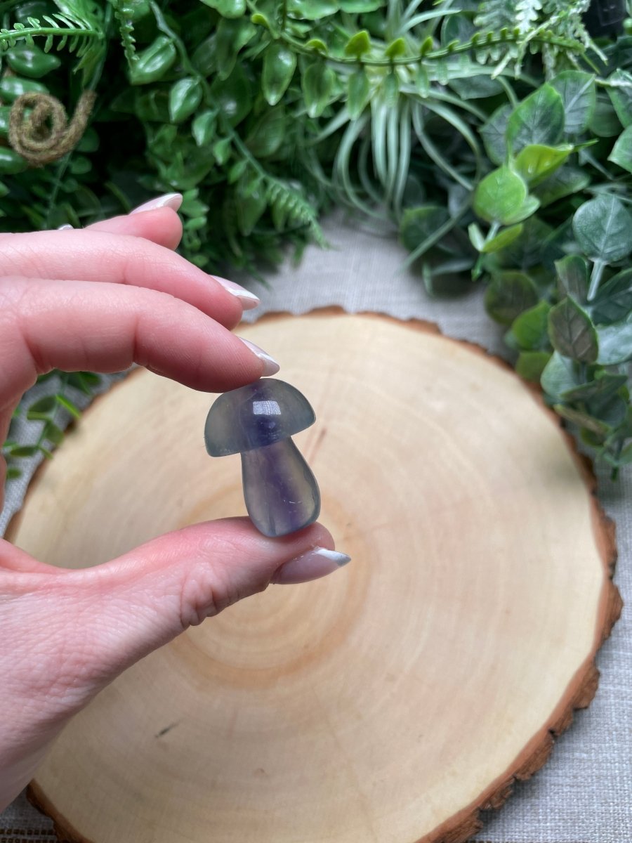 Fluorite Mushroom detail view by Copper Ashes