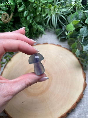 Fluorite Mushroom detail view by Copper Ashes
