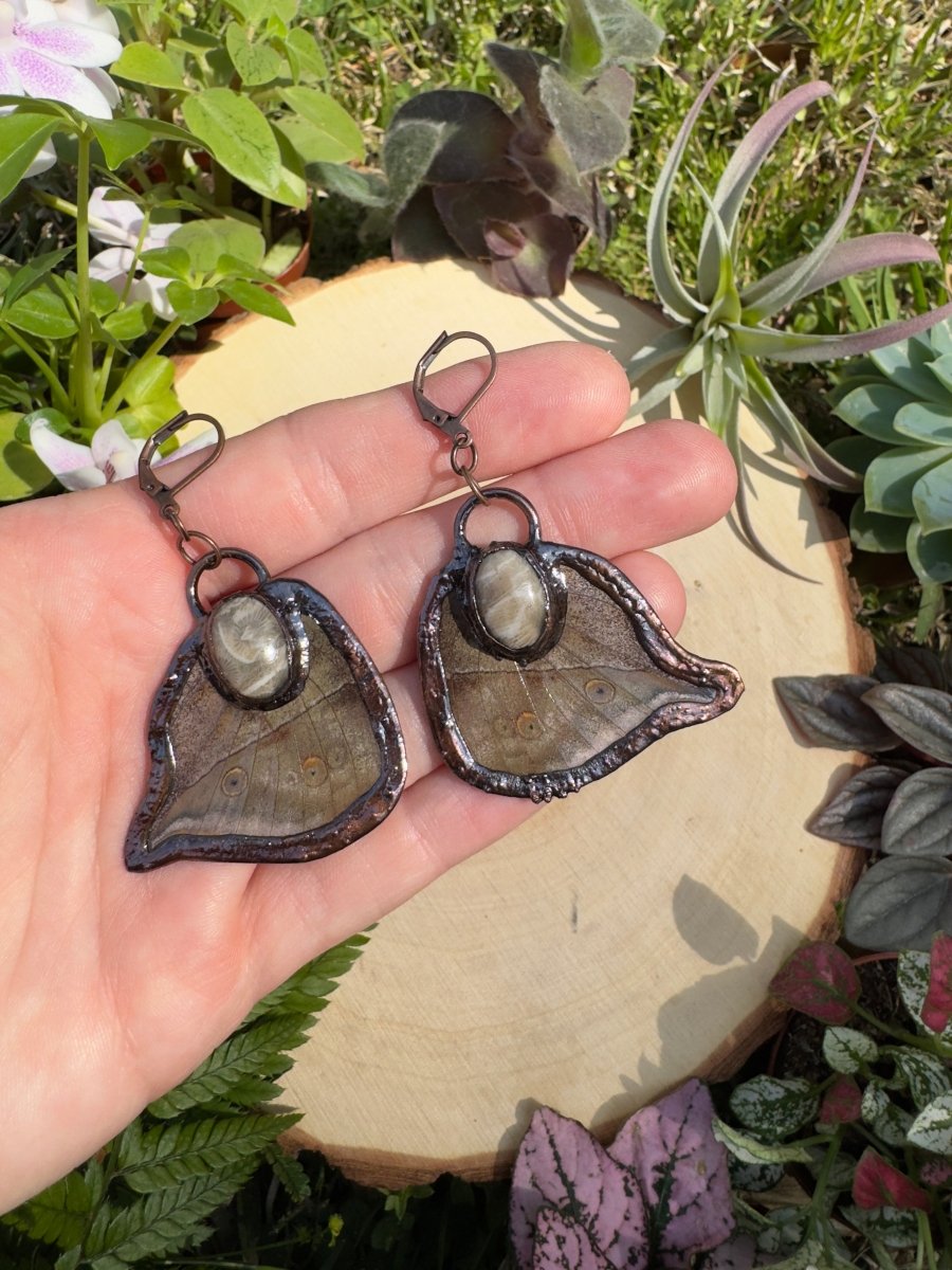 Fossilized Coral Butterfly Wing Earrings detail view by Copper Ashes