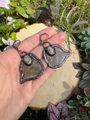 Fossilized Coral Butterfly Wing Earrings by Copper Ashes