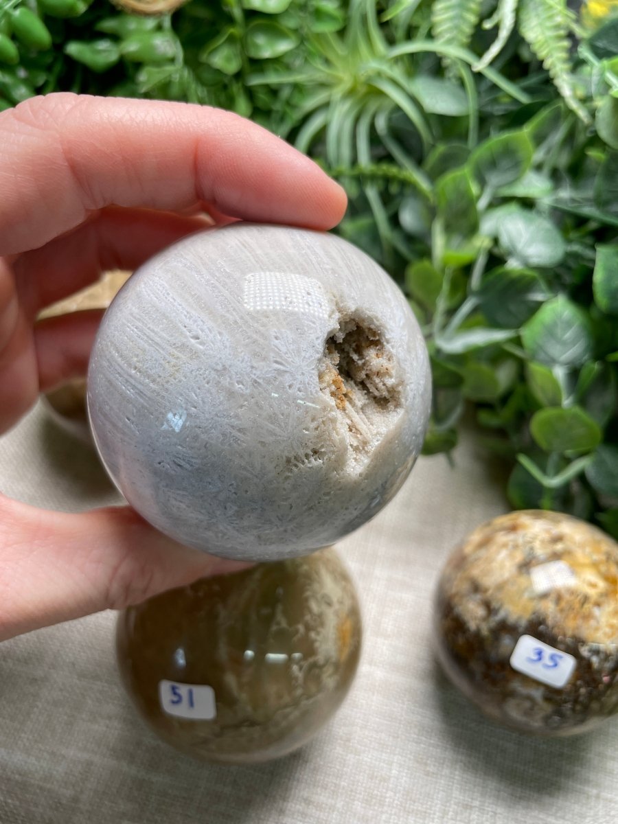 Fossilized Coral Sphere detail view by Copper Ashes