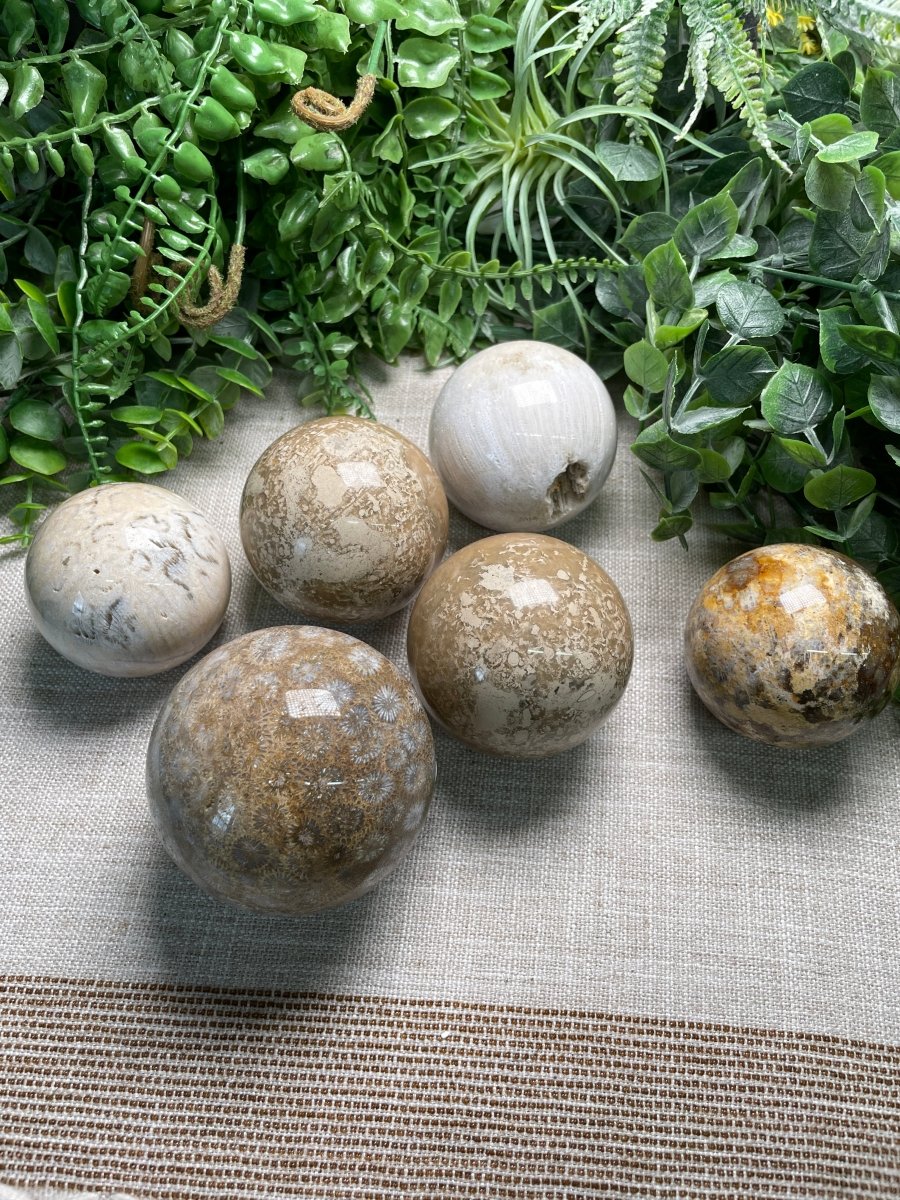 Fossilized Coral Sphere by Copper Ashes