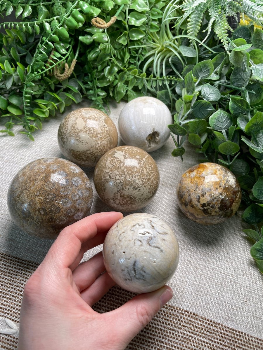 Fossilized Coral Sphere detail view by Copper Ashes