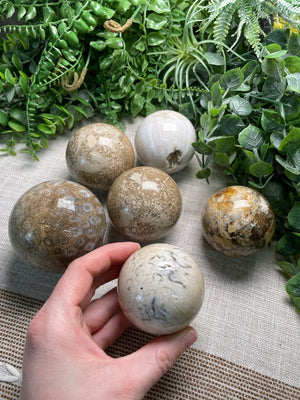 Fossilized Coral Sphere detail view by Copper Ashes