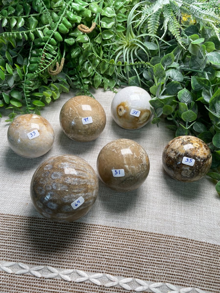 Fossilized Coral Sphere detail view by Copper Ashes