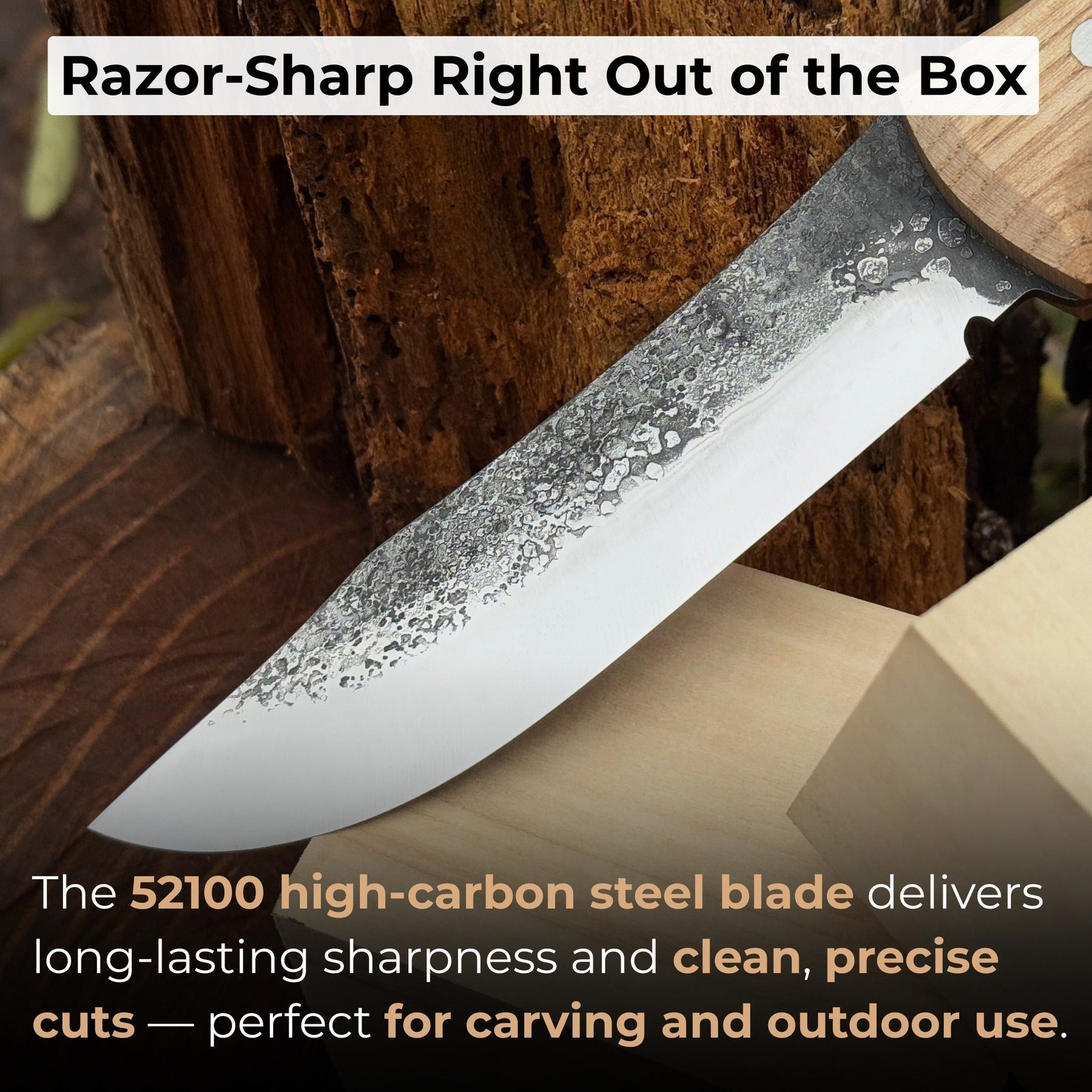 Hand-Forged Bushcraft Knife, 12 cm (4.72 inches) detail view by Sharky Forged Steel Tools