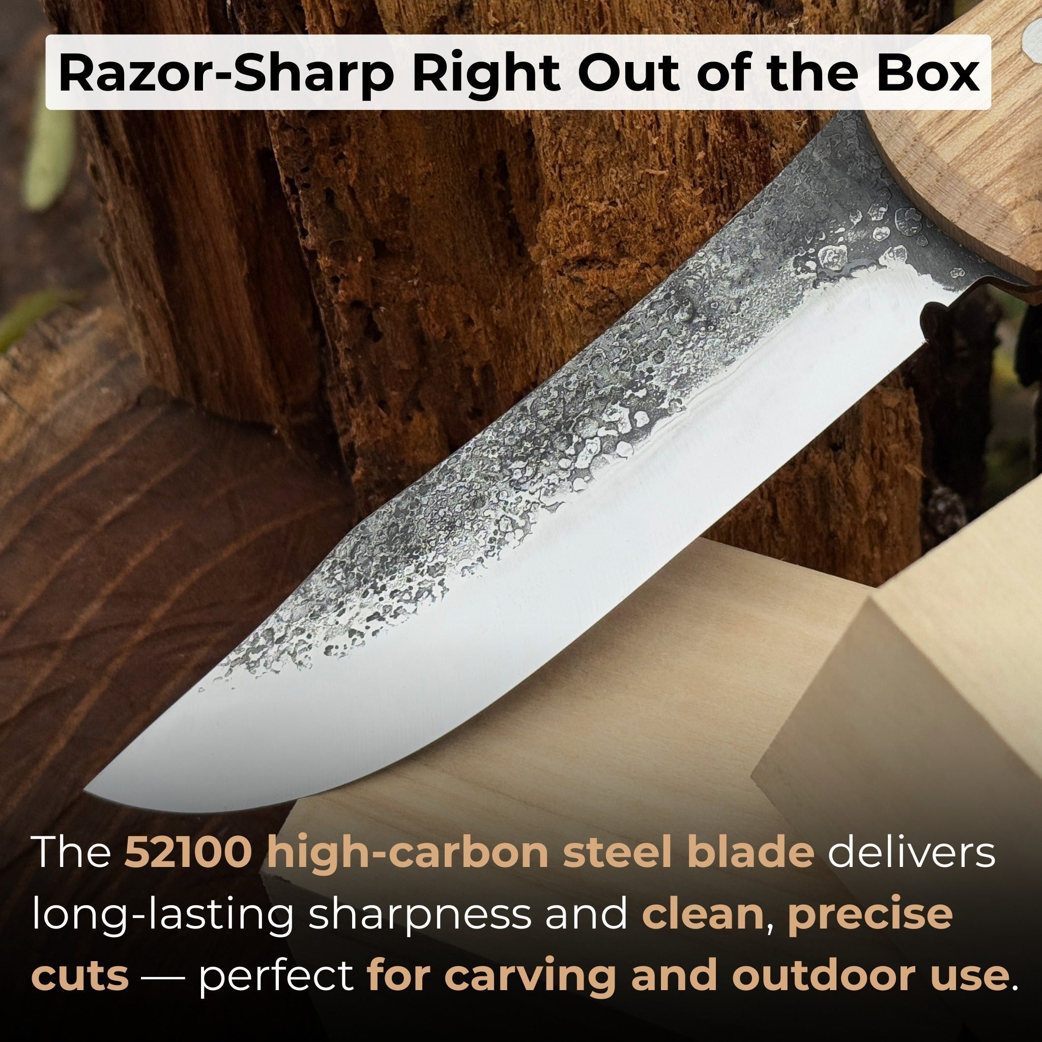 Hand-Forged Bushcraft Knife, 12 cm (4.72 inches) detail view by Sharky Forged Steel Tools