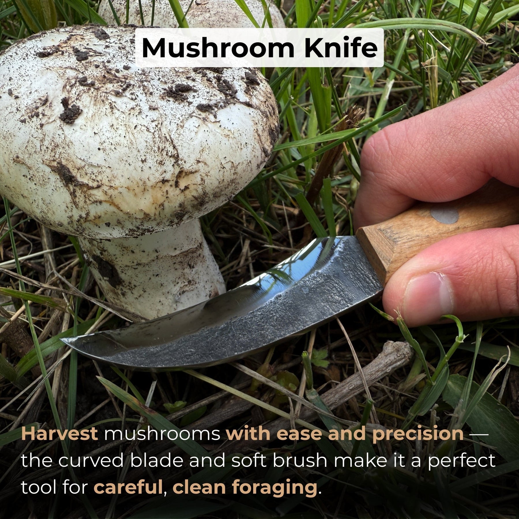 Hand-Forged Knife for Mushroom Foraging, 8 cm (3.15 inches) detail view by Sharky Forged Steel Tools