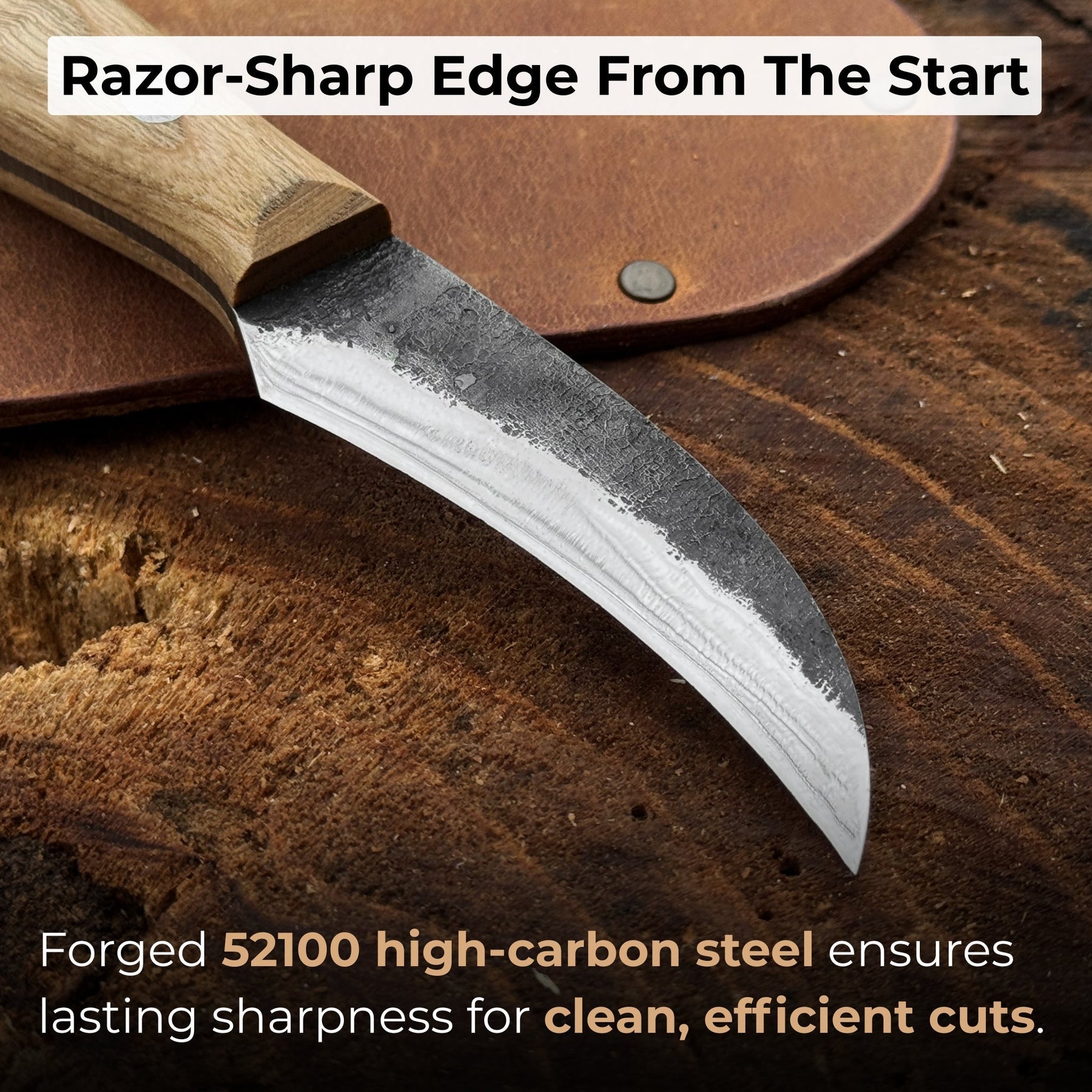 Hand-Forged Knife for Mushroom Foraging, 8 cm (3.15 inches) detail view by Sharky Forged Steel Tools