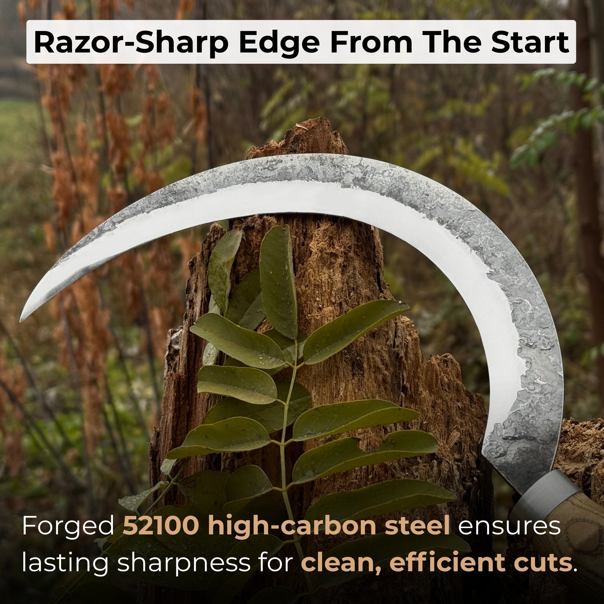 Hand-Forged Large Sickle, ⌀19 cm (7.5 inches) detail view by Sharky Forged Steel Tools