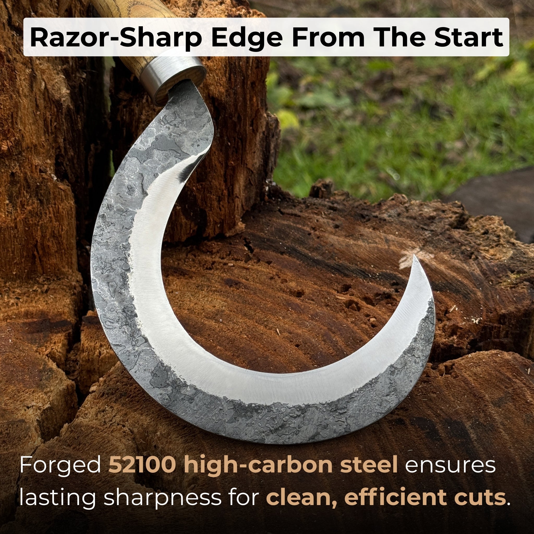 Hand-Forged Small Sickle – 9 cm (3.54 inches) Blade with Leather Belt Attachment detail view by Sharky Forged Steel Tools
