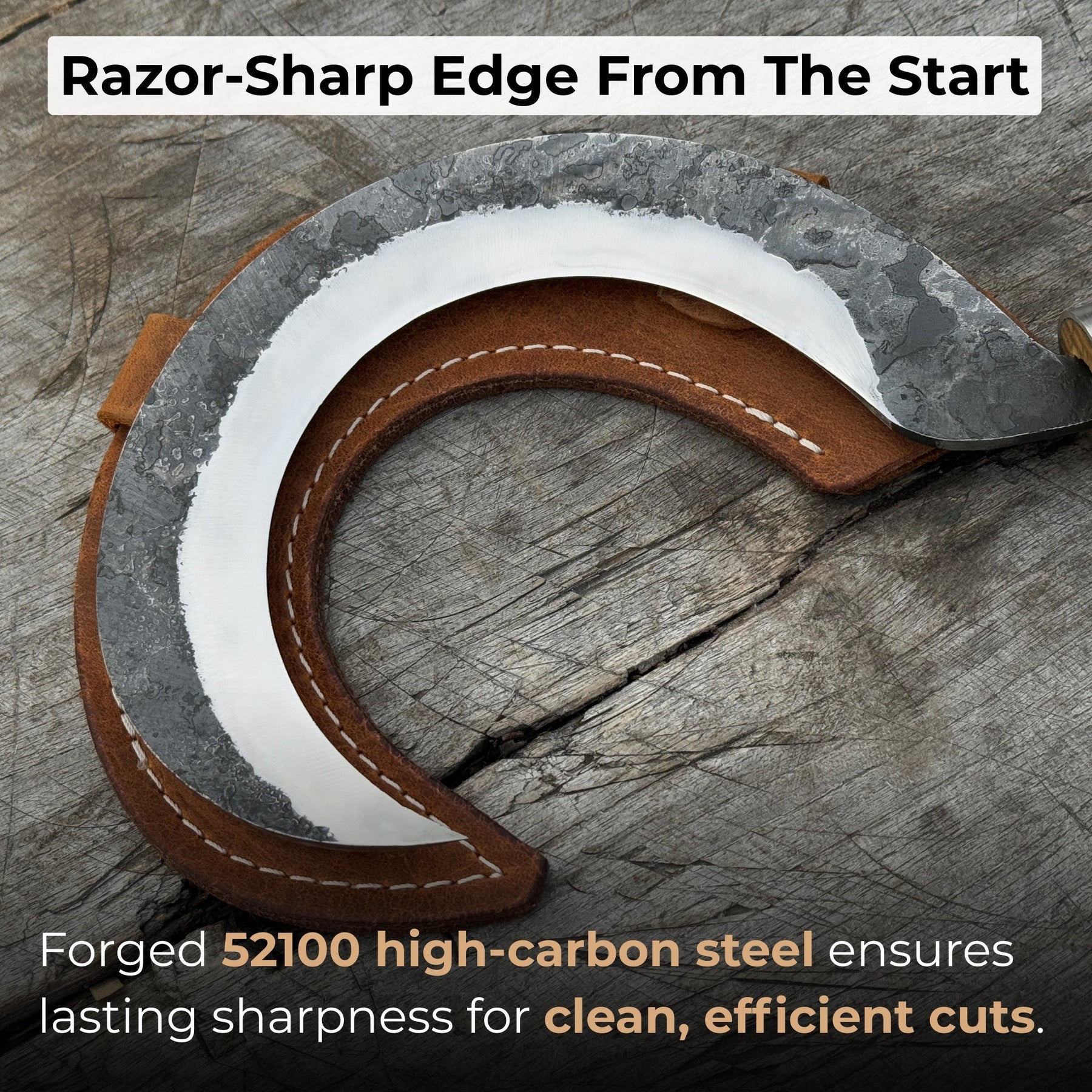 Hand-Forged Small Sickle, ⌀9 cm (3.54 inches) detail view by Sharky Forged Steel Tools
