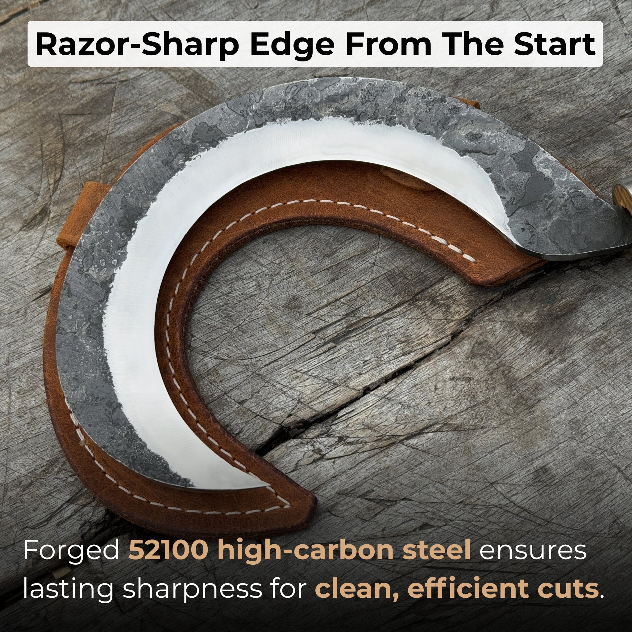 Hand-Forged Small Sickle, ⌀9 cm (3.54 inches) detail view by Sharky Forged Steel Tools
