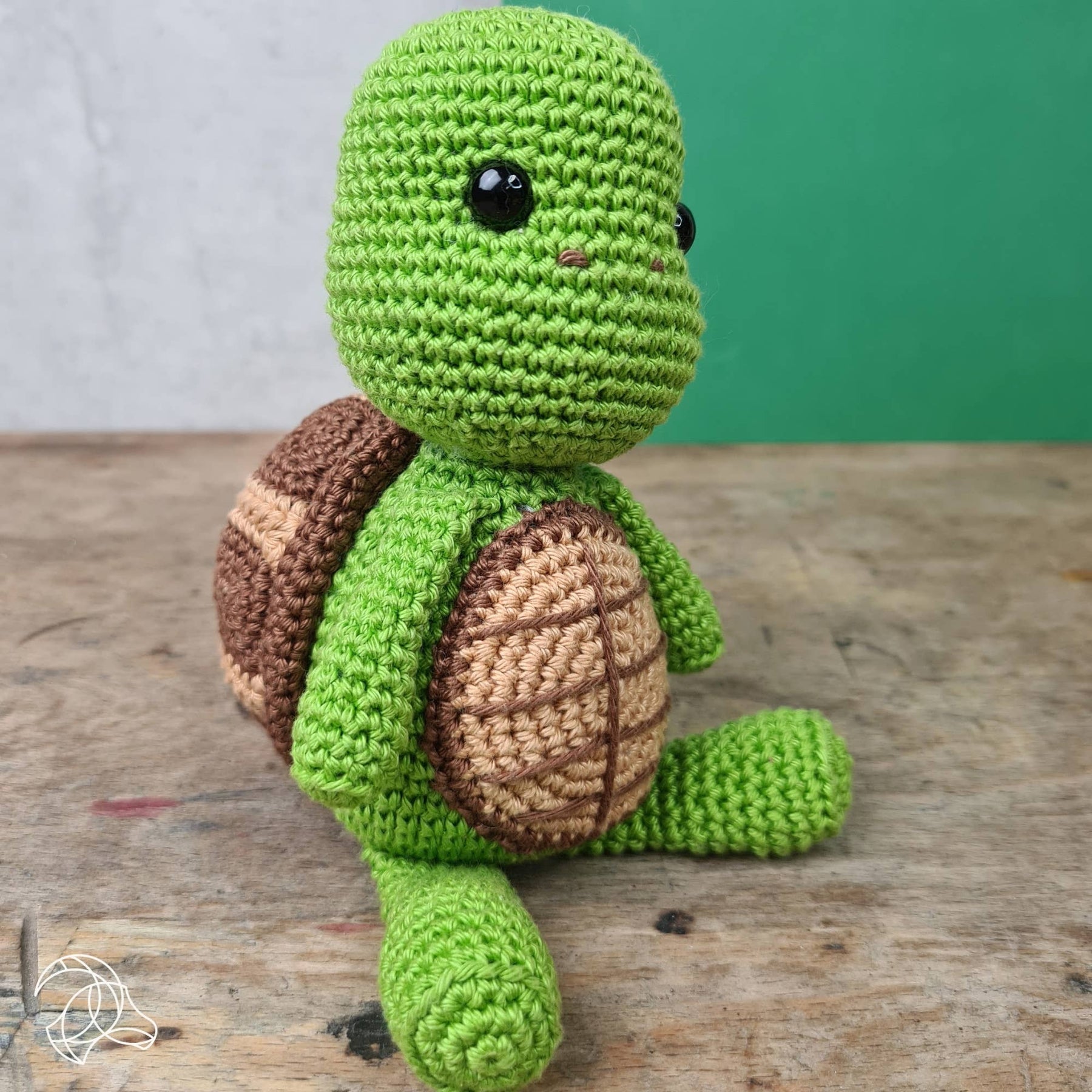 DIY Crochet Kit Siem Turtle detail view 3 by Mountaintop Yarn